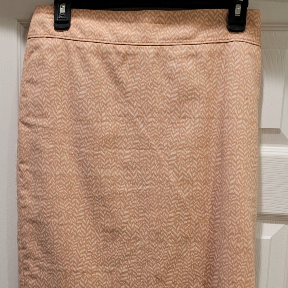 Peach Ann Taylor LOFT skirt (10)